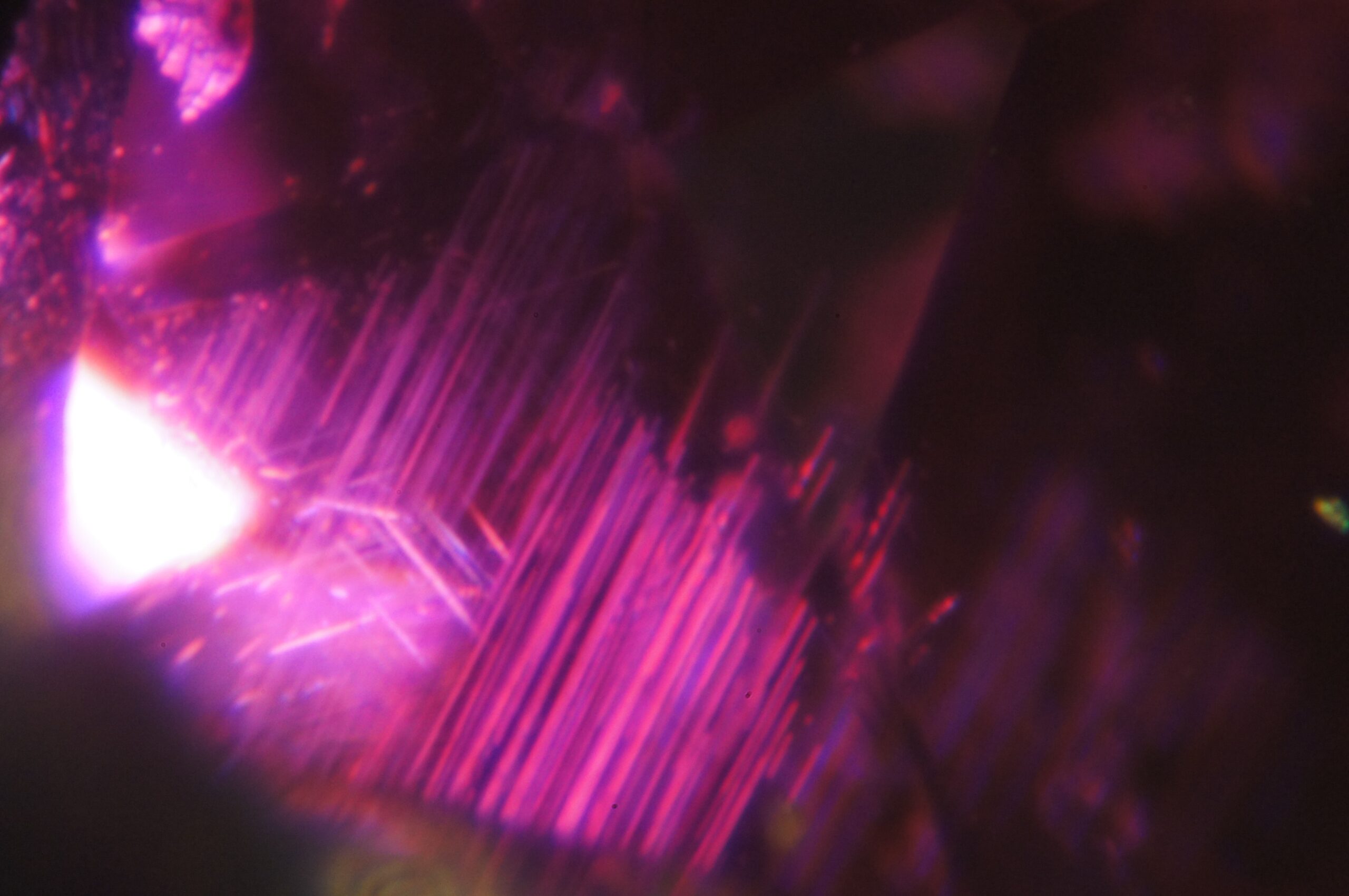 シルクインクルージョン