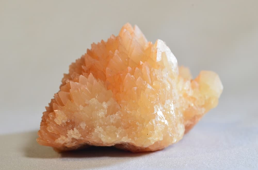 宝石珊瑚